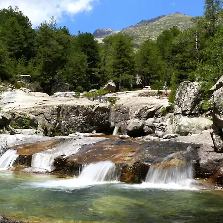 アパート La Perle Du Valinco #familial#balcon#piscine#mer