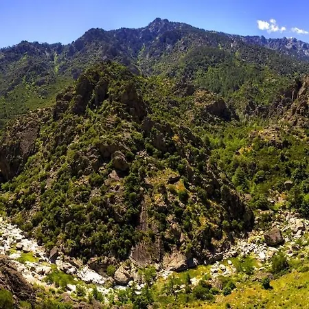 La Perle Du Valinco #familial#balcon#piscine#mer アパート