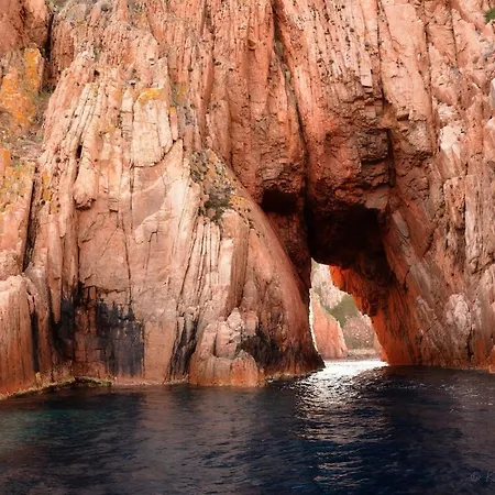 アパート La Perle Du Valinco #familial#balcon#piscine#mer プロプリアノ