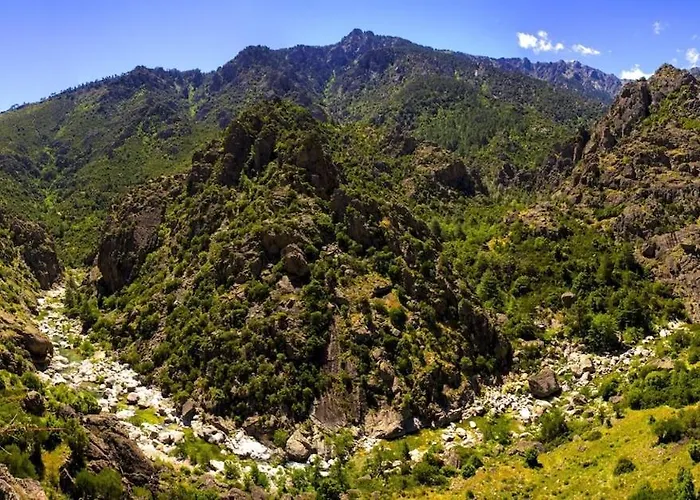 La Perle Du Valinco #familial#balcon#piscine#mer Διαμέρισμα